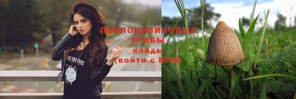 молекула духа Вяземский