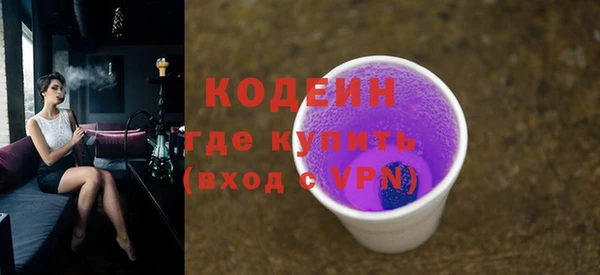 молекула духа Вяземский
