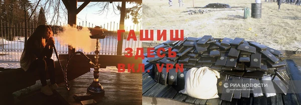 молекула духа Вяземский