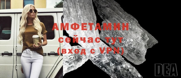 молекула духа Вяземский