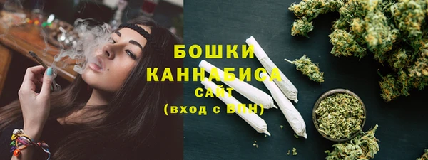 молекула духа Вяземский