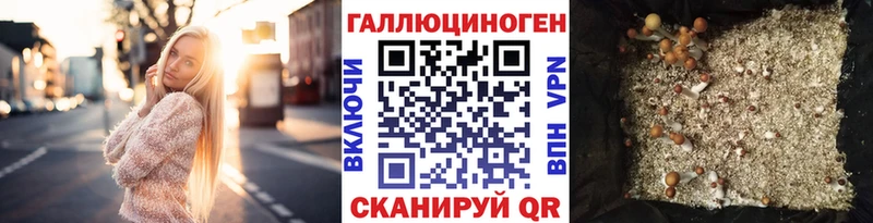 Псилоцибиновые грибы Psilocybine cubensis  Иланский 